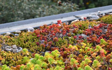 the cost of Lyminster green roof installation