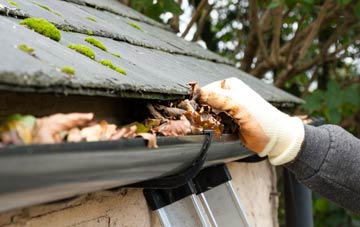 gutter cleaning Lyminster, West Sussex