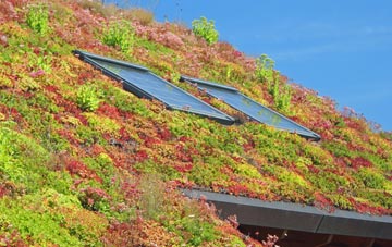 Lyminster living roof systems