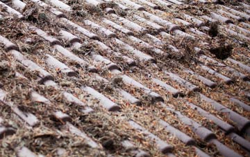 Lyminster roof cleaning companies