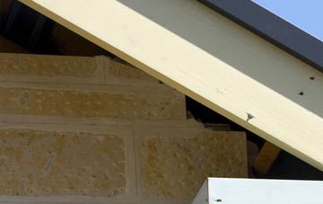 soffit repair Lyminster