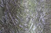 Lyminster fibreglass roof work